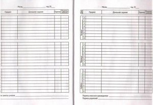Дневник School Format "Жажда скорости", 1-11 класс, 48 листов, твердый, глянцевая ламинация