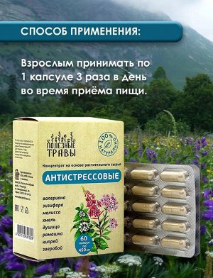 "АНТИСТРЕСС" Фитокомплекс, №60, капс. по 450 мг