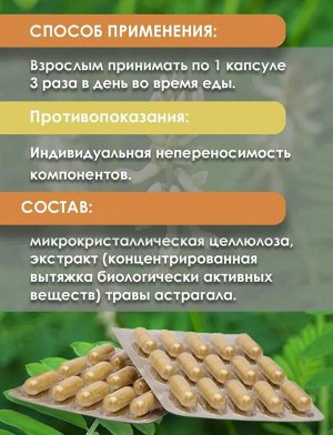 "ШЛЕМНИК БАЙКАЛЬСКИЙ" растительный экстракт, №60, капс.по 450мг