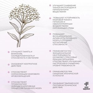 "ЦЕРЕБРУМ КОМПЛЕКС" серия Экстрактика, №60, капсулы по 450 мг - улучшения памяти и внимания