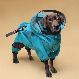 Комбинезон для собак, демисезонный с козырьком, размер 3ХL (ДС 50, Ог 67, ОШ 51 см), голубой   93812