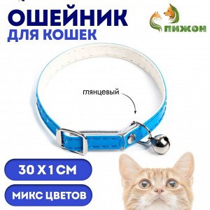 Ошейник глянцевый на резинке, с бубенчиком, 30 х 1 см, микс цветов