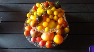 Коллекция семян томатов "ЗАСОЛОЧНЫЕ"