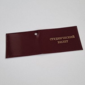 Обложка для студенческого билета из натуральной кожи, арт. 52.1058