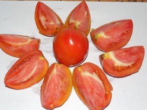 Томат "Шахерезада" (10 семян).