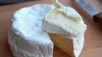 Плесень белая Geotrichum Candidum на 100л молока