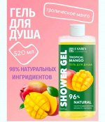 Гель для душа Vilsen FRESH FLESH Тропический Манго 520мл