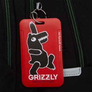 Рюкзак школьный GRIZZLYс карманом для ноутбука 13", анатомической спинкой, для мальчика