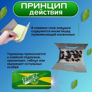 Тайга Клеевая ловушка от тараканов