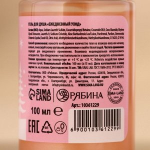 Подарочный набор «Счастливого праздника», гель для душа 2x100 мл и мочалка для тела, URAL LAB
