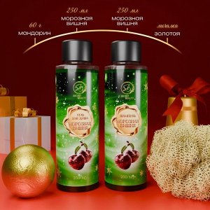 Новогодний подарочный набор косметики «Новогодний экспресс», с ароматом вишни и корицы. Зеленая серия