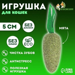 Игрушка для кошек из кошачьей мяты «Морковка», 5 см