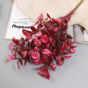 Букет искусственный «Вертикордия», 30 см