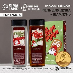 Подарочный набор новогодний «С НГ, бро»: гель для душа и шампунь для волос, 2x250 мл, Чистое счастье