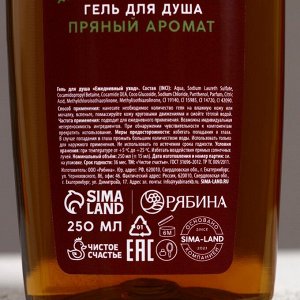 Подарочный набор новогодний «С НГ, бро»: гель для душа и шампунь для волос, 2x250 мл, Чистое счастье