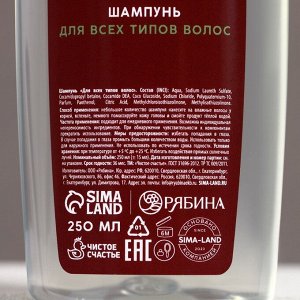 Подарочный набор новогодний «С НГ, бро»: гель для душа и шампунь для волос, 2x250 мл, Чистое счастье