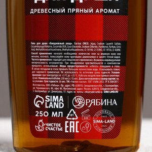 Подарочный набор новогодний «С праздником», гель для душа и шампунь для волос, 2x250 мл, Чистое счастье