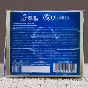 Подарочный набор «Богатства и процветания», гель для душа виски 250 мл и мыло для рук, Чистое счастье