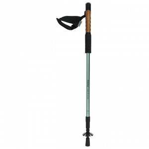Палки треккинговые maclay Alu 100, телескопические, 2 шт.