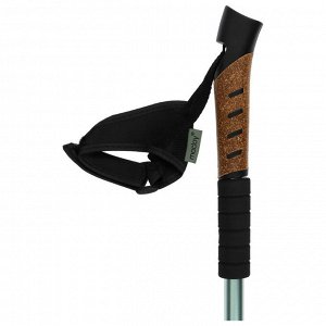 Палки треккинговые maclay Alu 100, телескопические, 2 шт.