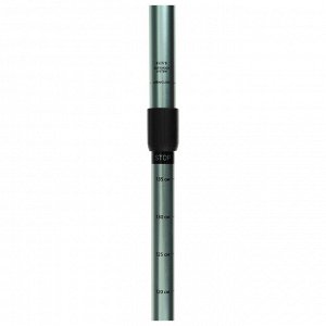 Палки треккинговые maclay Alu 100, телескопические, 2 шт.