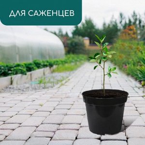 Горшок для рассады, 5 л, d=22 см, h=18 см, чёрный, Greengo
