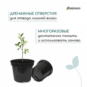 Горшок для рассады, 5 л, d=22 см, h=18 см, чёрный, Greengo