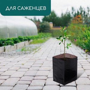 Пакет для рассады, 1 л, 9x18 см, полиэтилен, толщина 50 мкм, с перфорацией, чёрный, Greengo