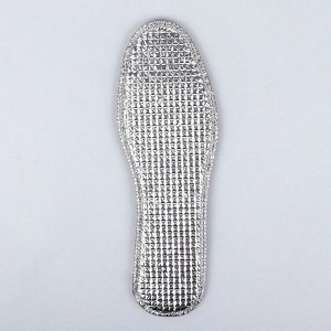 Стельки для обуви, утеплённые, двухслойные, фольгированные, окантовка, р-р RU 38 (р-р Пр-ля 40), 25 см, пара, цвет серый