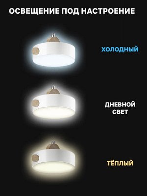 Светильник подвесной светодиодный Ritter SCANDIA, 14Вт, цвет белый (Люстра)