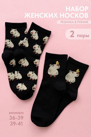 Носки женские Капибара (набор 2 пары)