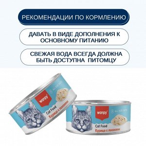Wanpy Cat Консервы для кошек "Курица с лососем" 95 г