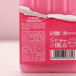 Подарочный набор «Для сладкой девочки», гель для душа 300 мл, бомбочки для ванны 4x40 г, Чистое счастье