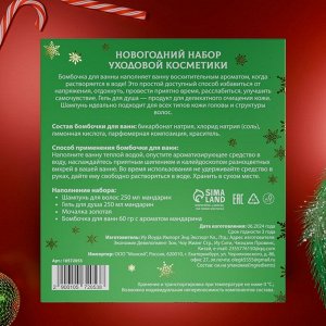Новогодний подарочный набор косметики «Снежное царство», с ароматом мандарина и корицы. Зеленая серия