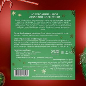 Новогодний подарочный набор косметики «Снежное царство», с ароматом хвои и корицы. Зеленая серия