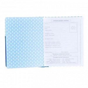 Дневник, универсальный, для 1-11 классов, «Кот голубой на белом», аппликация из искусственной кожи, поролоновая подкладка, высокая полноцветная печать, 48 листов