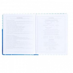 Дневник, универсальный, для 1-11 классов, «Кот голубой на белом», аппликация из искусственной кожи, поролоновая подкладка, высокая полноцветная печать, 48 листов