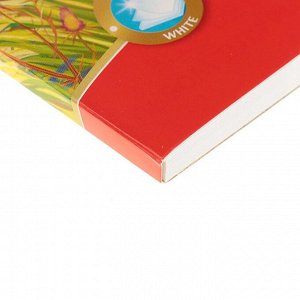 Альбом для рисования А4, 40 листов на клею ArtBerry "Саванна", обложка мелованный картон, блок 120 г/м2