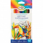 Карандаши цветные и восковые