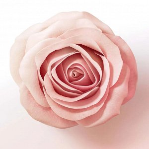 PANTENE Бальзам-ополаскиватель Rose Miracles Объем от корней до кончиков 200мл