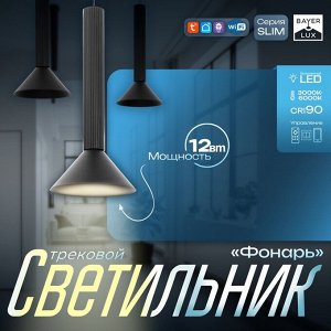 Светильник трековый SLIM "Фонарь" LED 12Вт 3000K-6000К 48V CRI90 черный 17х17х39-139см