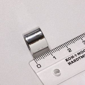 Замок-концевик магнитный, L=20 мм, d (внутренний)=12 мм, (набор 2 шт.), цвет серебро