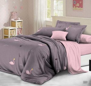Комплект постельного белья Семейный, поплин (Розовый фламинго)