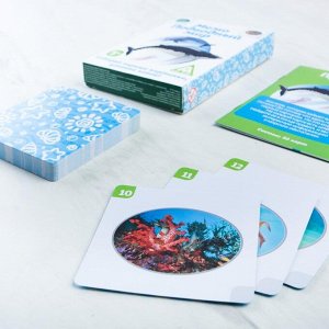 Настольная игра «Мемо Подводный мир», 50 карточек
