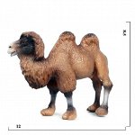 Дикие животные. верблюд