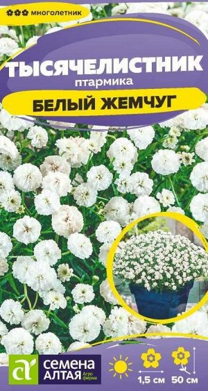 Тысячелистник Белый жемчуг/Сем Алт/цп 0,05 гр. многолетник