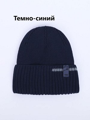 Шапка мужская на флисе из хлопка цвета выбирайте при оформлении заказа