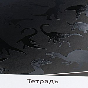 Тетрадь 12 листов в линейку ErichKrause "Black Pattern", УФ-лак, обложка мелованный картон, блок офсет, микс