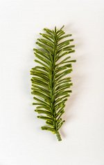 10 шт Веточка ели хвойная искусственная, 9см