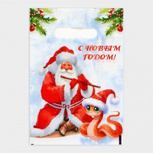 Пакет "Дед мороз и змейка", полиэтиленовый с вырубной ручкой, 20х30 см.
